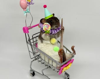 Rat Taxidermy Clown Shopping Cart Whimsical Fun OOAK Oddities Preserved Curiosities Art Circus Decor with Bows Balloons Rainbow Lollipop