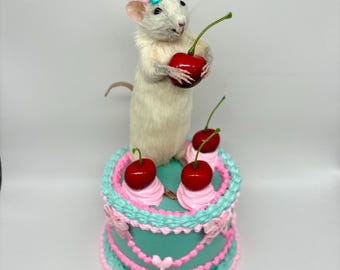 Cotton Candy Taxidermy Rat Cake Whimsical Oddities Curio Decor Preserved Handmade Curiosities Art Gifts Faux Dessert Cherries OOAK