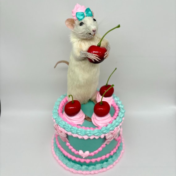 A real taxidermied rat presented as a slice of cotton candy cake — the kind of darkly whimsical curiosity you genuinely cannot find anywhere else.