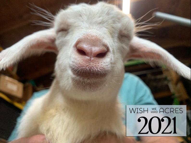 2021 Farm to Wall Goat Calendar | Etsy