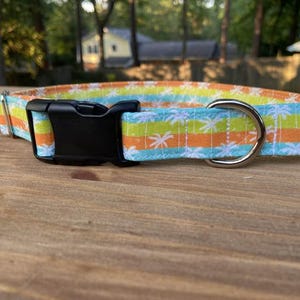 Palm tree Dog Collar, Island Dog collar, boy dog collar, beach dog collar, summer dog collar, tropical dog collar