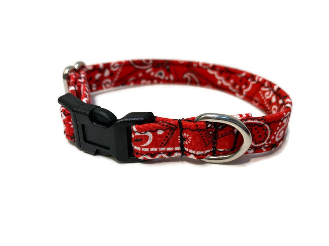 Extra Small dog collar male dog collar Toy Dog collar Etsy