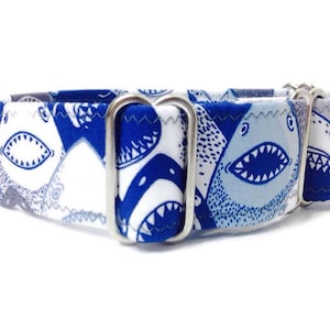 Shark Dog collar, martingale dog collar, Dog collar,  Male Dog Collar,  Female Dog Collar, Novelty Dog Collar, Ocean dog collar