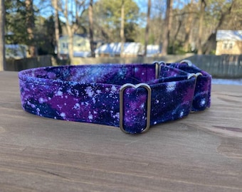 Purple Galaxy Martingale dog
