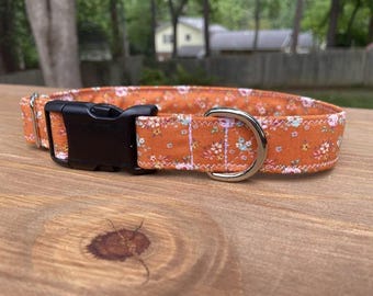 Pumpkin Spice Floral Fall Dog Collar