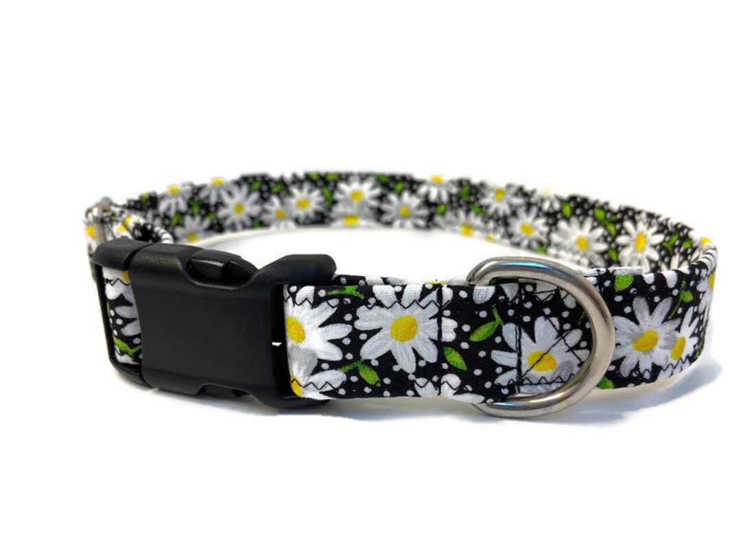 Daisy Dog Collar Daisy Martingale Black & White Floral Dog Etsy