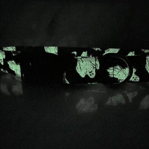 May include: A black pet collar featuring a glow-in-the-dark cow print pattern. The collar includes a metal D-ring and a plastic buckle, with the light-emitting material creating a bright green, luminous effect against the dark background.