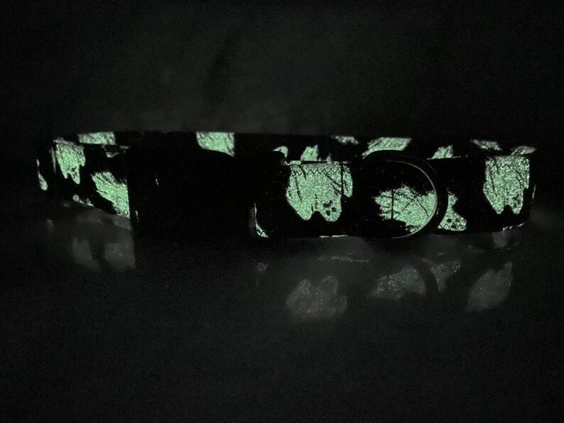 May include: A black pet collar featuring a glow-in-the-dark cow print pattern. The collar includes a metal D-ring and a plastic buckle, with the light-emitting material creating a bright green, luminous effect against the dark background.