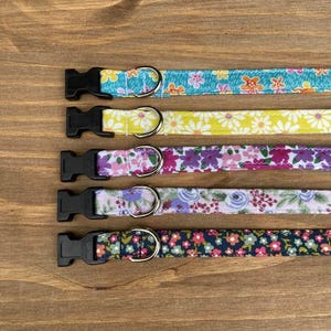 Extra Small Floral Dog Collar,  Female Toy Breed