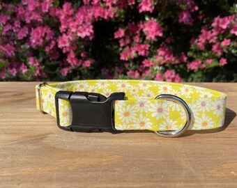 Yellow Daisy Dog Collar
