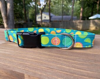 Citrus Fruit Dog Collar: Handmade Martingale, Summer Print