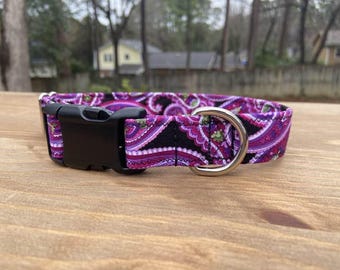 Purple paisley dog collar