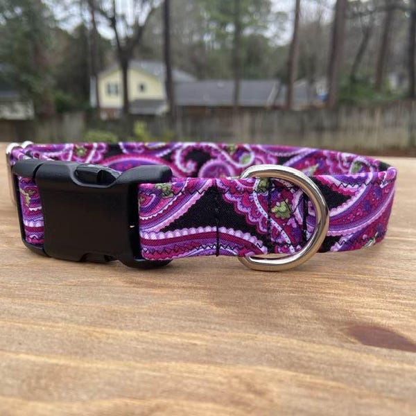 Purple paisley dog collar