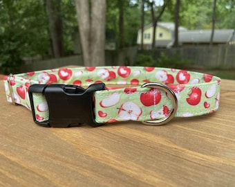 Fall Apple Harvest Dog Collar