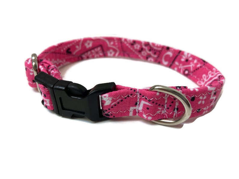 Extra Small dog collar Toy Dog collar Chihuahua dog collar Etsy