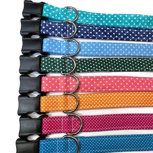 Polka Dot Dog collar, Martingale dog collar, Boy dog collar, girl dog collar,  martingale, preppy dog collar, polka dots