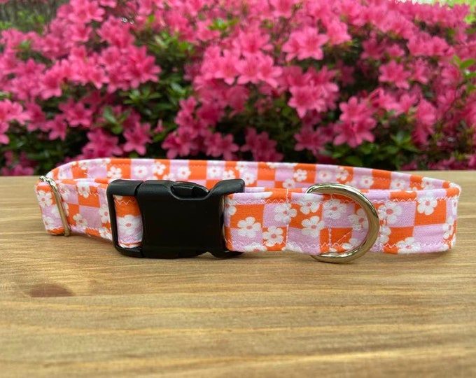 Everyday Collars