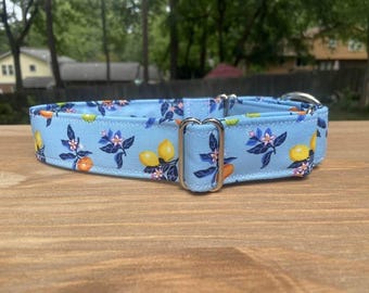 Citrus Martingale collar, Lemons, Limes, Oranges