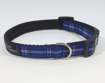 Tartan dog collars