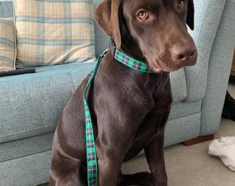 Hibernian Football Club Tartan Lead, Scottish Football Club , plaids, dogs, pets, tartan ribbon