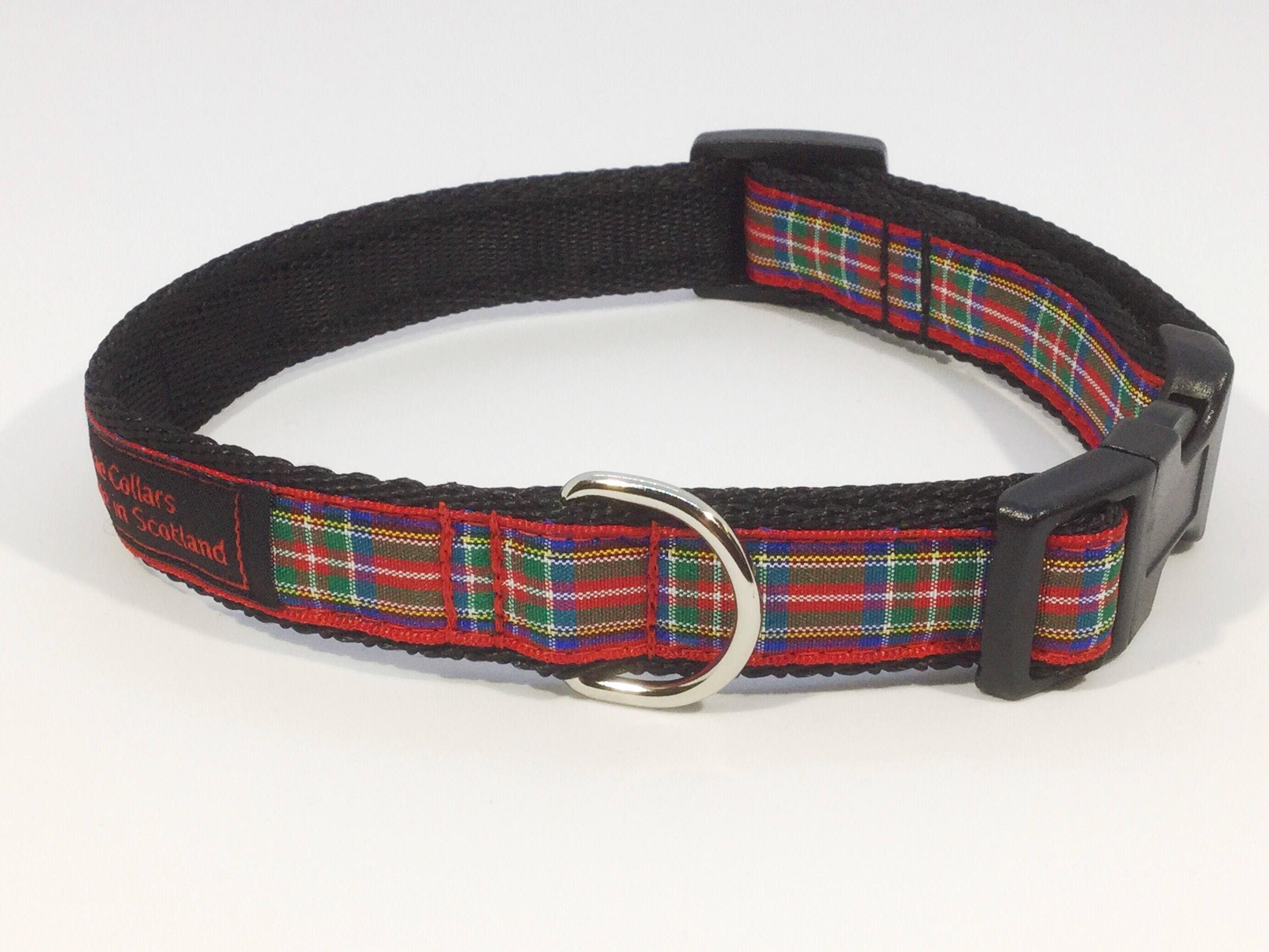 Royal Stewart Tartan Collar,dogs, pets, Royal Stewart ,Stewart, plaids