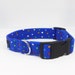 see more listings in the Dog collars section