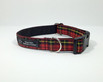 Tartan dog collars