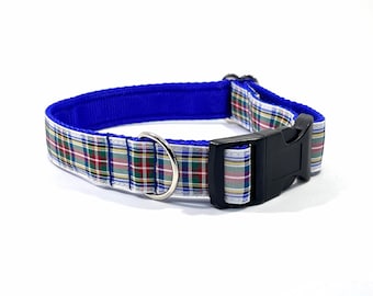 Dress Stewart Tartan Collar,dogs, pets, Dress Stewart ,Stewart, plaids, Scottish clans