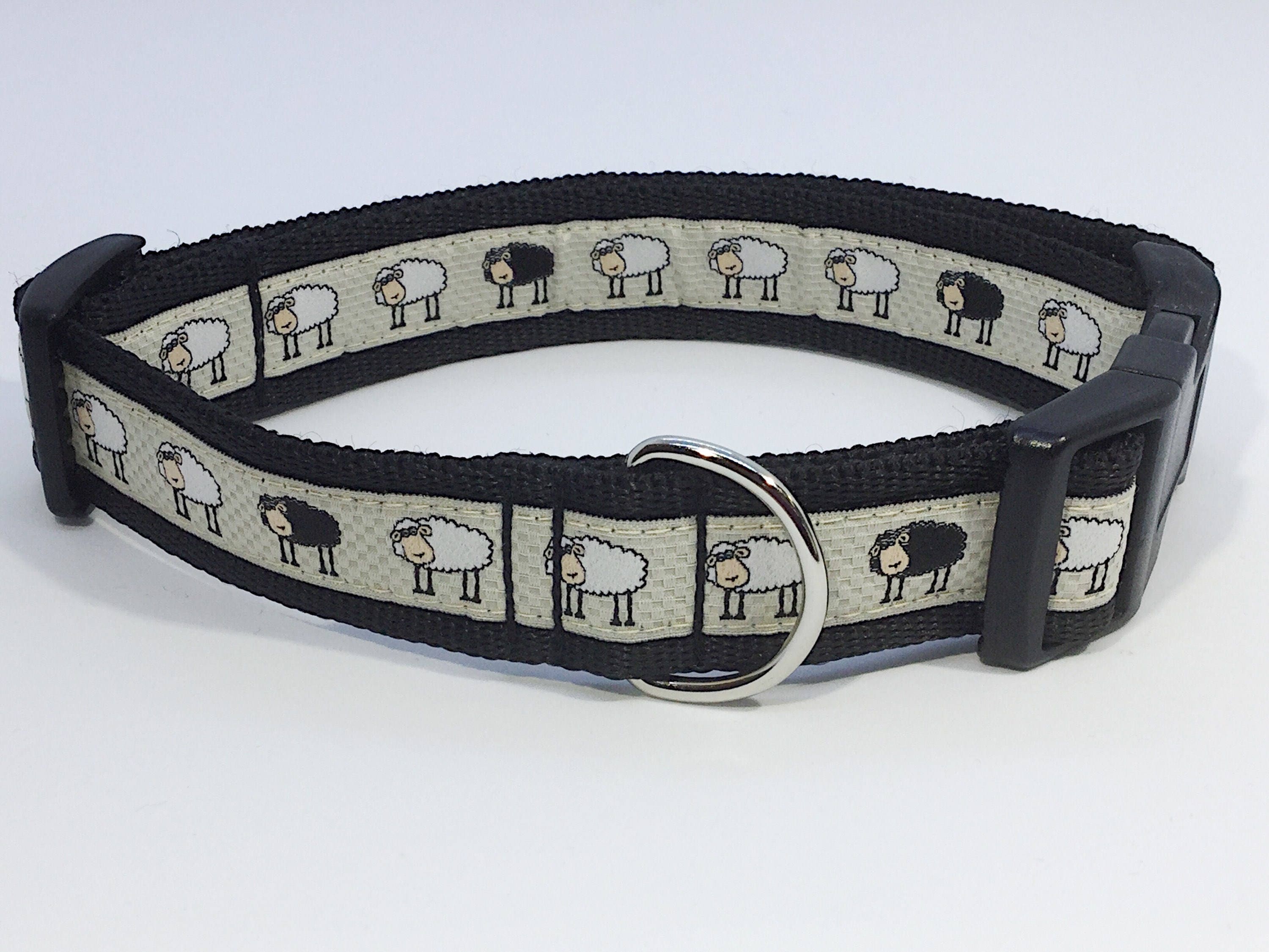 Black Sheep Collar, sheep, lambs, farm, handcrafted , luxury dog collar,dogs , pets