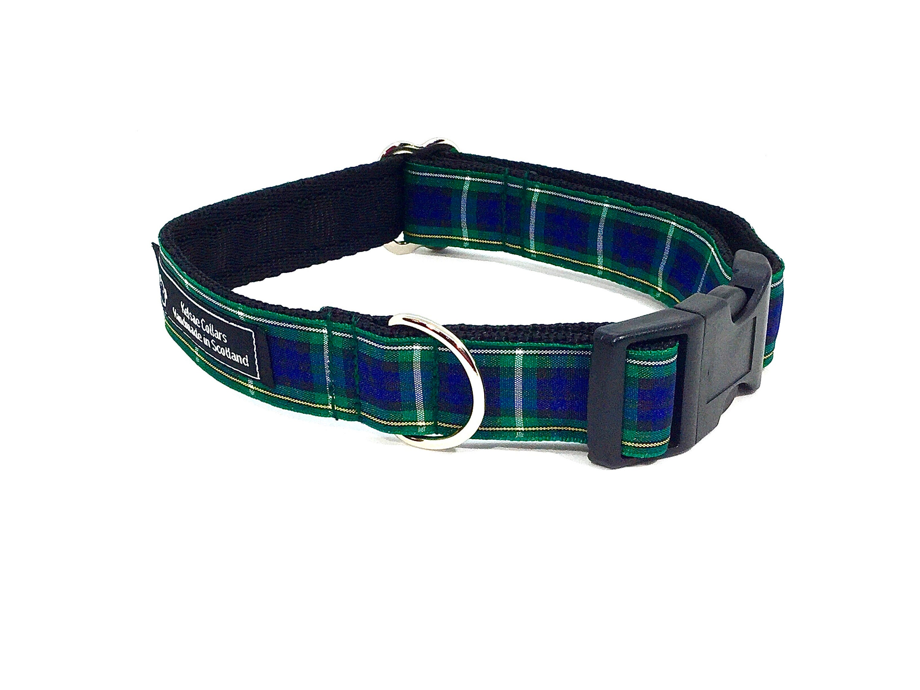 Campbell Tartan Lead, dogs, pets, Buchanan , plaid, Scottish clans