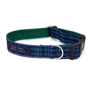 Douglas Modern Tartan Collar, clans écossais, plaids, chiens, animaux de compagnie, ruban tartan