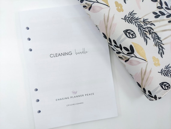 Planner Peace - How I Set Up My Personal Size Louis Vuitton Agenda