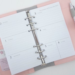 May include: A pink personal planner with a white interior and a silver binder. The planner is open to the December 2018 - January 2019 pages, with the days of the week labelled. A pen with a white and pink geometric pattern is lying on the cover.