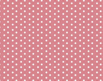 Tula Pink- True Colors -Hexy Rainbow Flamingo-Free Spirit Fabrics- Sold by the yard