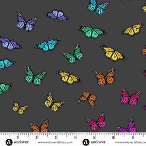 Color Wheel- by Alison Glass- Art Theory Butterfly Rainbow Night  A1443-K