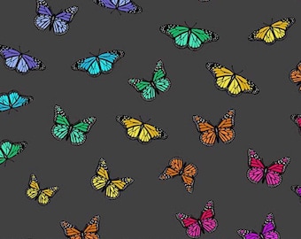 Color Wheel- by Alison Glass- Art Theory Butterfly Rainbow Night  A1443-K