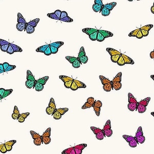 Color Wheel- by Alison Glass- Art Theory Butterfly Rainbow Day  A1443-L