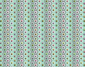 Tula Pink- Prince Charming-DejaVu Fabric-Hex Box-Sweetmint-PWTP280.Sweetmint- Quilting cotton by the yard