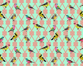 Tula Pink- In a Finch in Dawn from the Moon Garden Collection by Free Spirit Fabrics 100% Quilting Cotton
