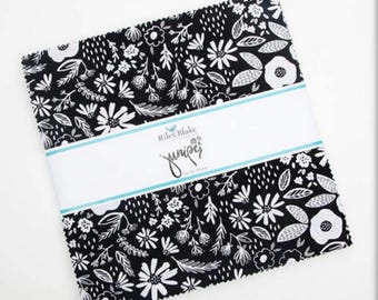 Juniper 10” Stacker Layer cake 42 pieces, OOP Riley Blake Designs Factory Cut