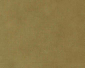 Collection for a cause-Essence Shaded solid Clover -Moda Fabrics-sold by the yard-46279 14