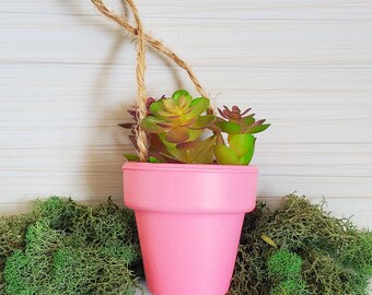 Potted Succulent Ornament