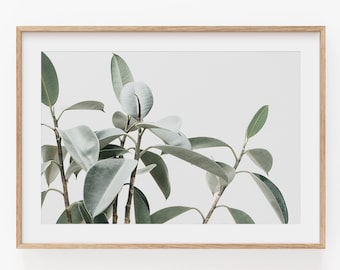 Eucalyptus Print: Botanical Farmhouse Wall Art (Digital Download)