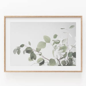 Eucalyptus Print, Instant Art, Eucalyptus Wall Art, Plant Art Print, Eucalyptus Horizontal Print, Horizontal Art Print, Botanical Print