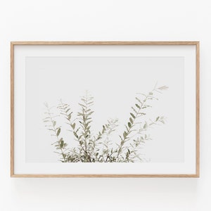 Wild Grass Print, Grass Wall Art, Instant Art, Botanical Art, Botanical Print, Horizontal Print, Botanical, Floral Print, Plant Farmhouse