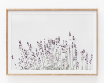 May include: A framed print of a cluster of lavender flowers in shades of purple and white against a white background.