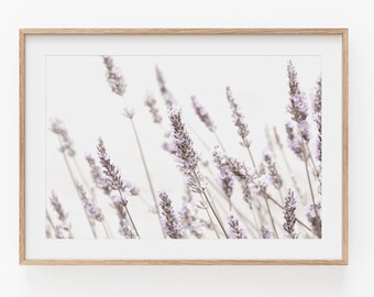 Lavender Field Print: Botanical Wall Art (Digital Download)