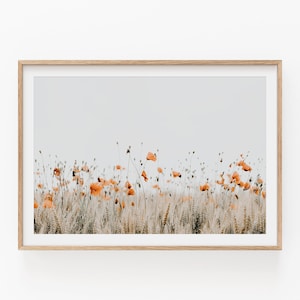 Poppy Field Art Print: Modern Minimalist Floral Wall Decor (Digital Download)