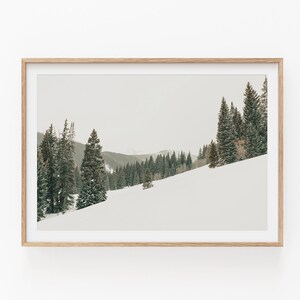 Natur Druck, Fotografie, Sofort DOWNLOAD, Modernes Minimalistisches Poster, druckbare Wanddekoration, Natur Wandkunst, Fotografie Kunst