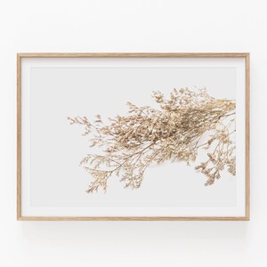 Wildgras Druck, Gras Wandkunst, Sofortige Kunst, Botanische Kunst, Botanischer Druck, Horizontaler Druck, Botanischer Druck, Floraler Kunstdruck, Pflanzenhaus